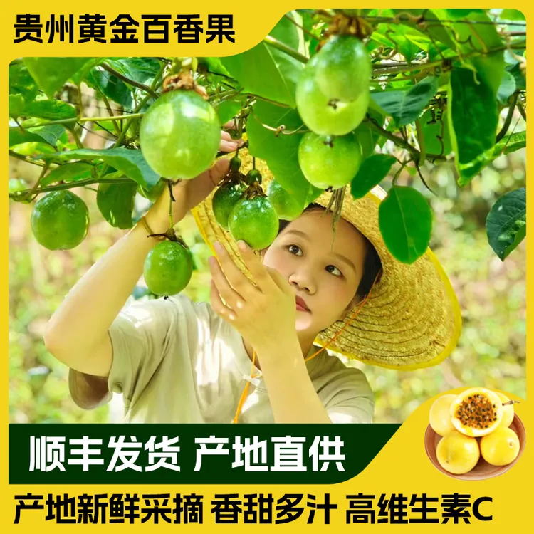榕江黄金百香果超甜的贵州村超产地百香果精品特大百香果孕妇水果