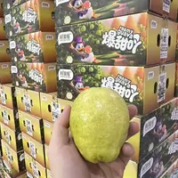 【六妈推荐】鲜果维牛乳芭乐礼盒软糯香甜果香 1件3斤起 辽宁发货