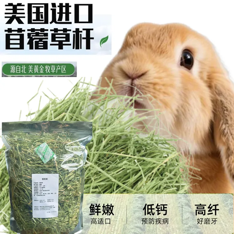 精选兔子进口紫花苜蓿干草北美龙猫荷兰猪紫花兔粮幼兔饲料牧草