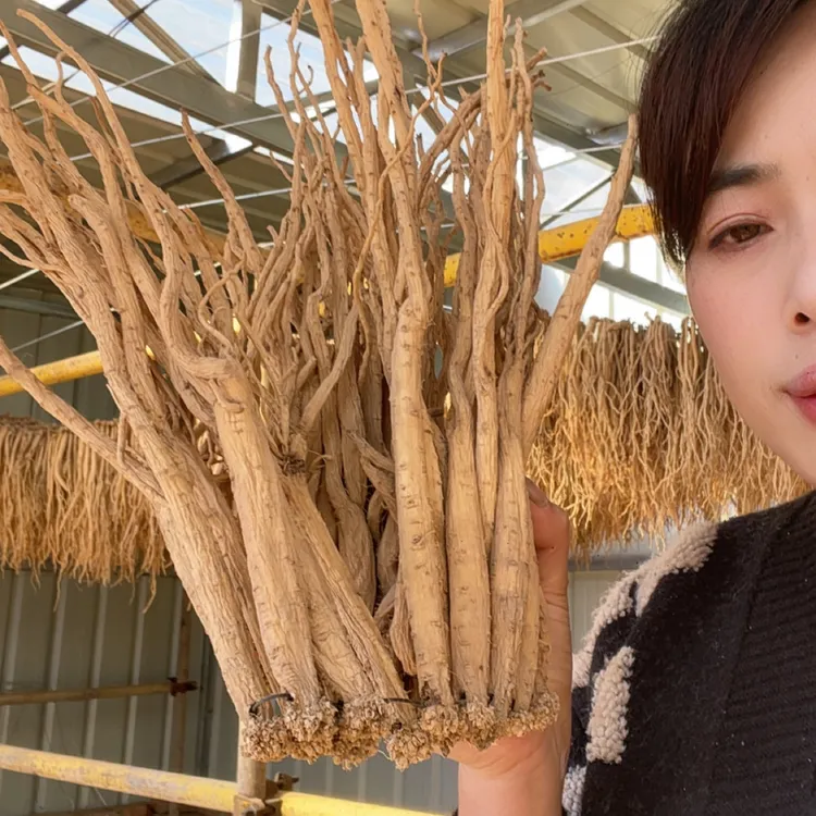 甘肃党参干货原产地自然晾晒煲汤泡水滋补养生食材