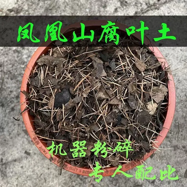 大唐 中号君子兰机器粉碎腐叶土