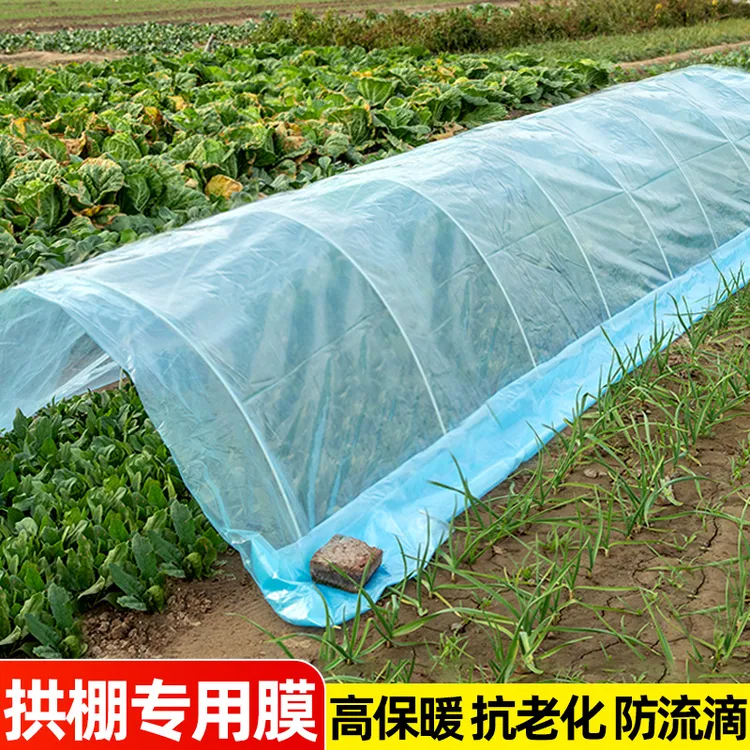 蔬菜拱棚膜大棚保温塑料布冬季暖棚透明薄膜防寒防冻保温加厚农用