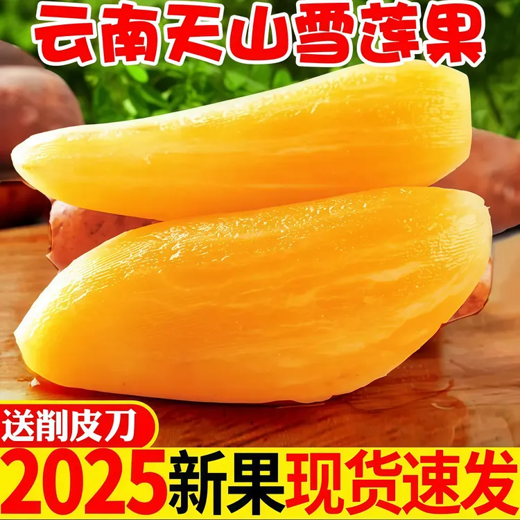 2025年新果精品特级云南天山黄心雪莲果新鲜水果脆甜多汁9斤包邮