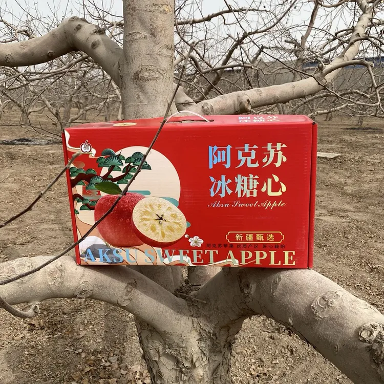 【红旗坡直发】正宗新疆阿克苏苹果新鲜孕妇水果京东助农包邮