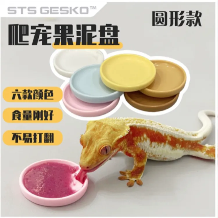 爬宠食盆果泥盘食碟碗睫角守宫蜥蜴盖勾亚R属亚成体及成体适用