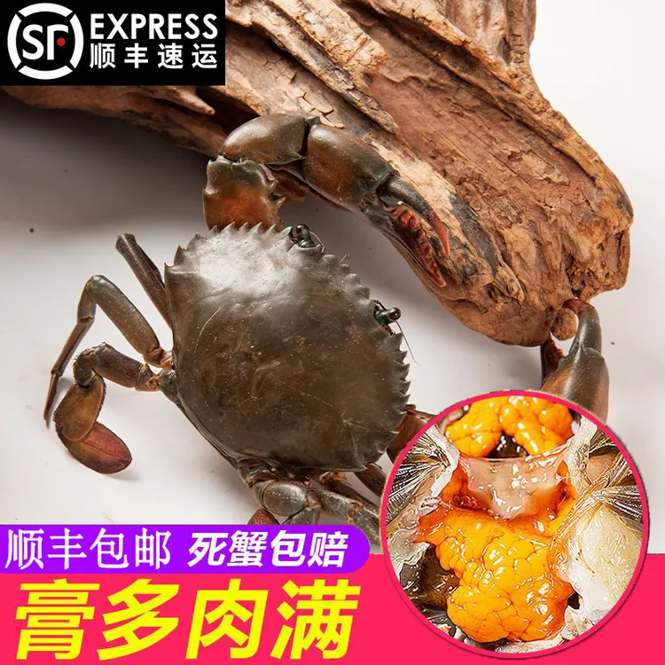 鲜活青蟹大肉蟹公蟹母蟹顺丰冷链到家