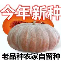 【满5包/包邮】老品种南瓜种磨盘大南瓜种子高产农家农家自留种子