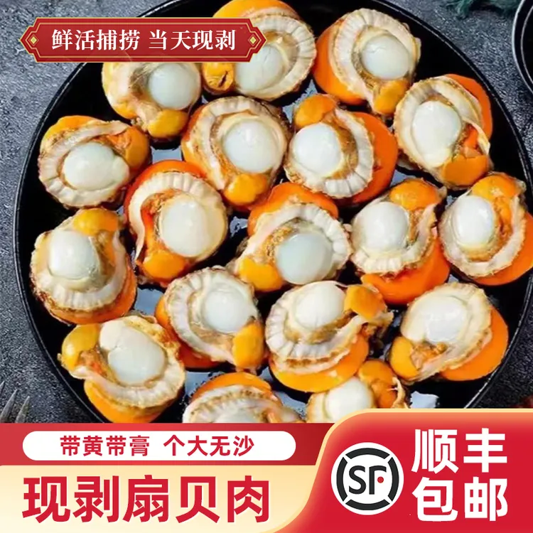 【透仙好味道】新鲜毛贝肉低温速冻锁鲜美味