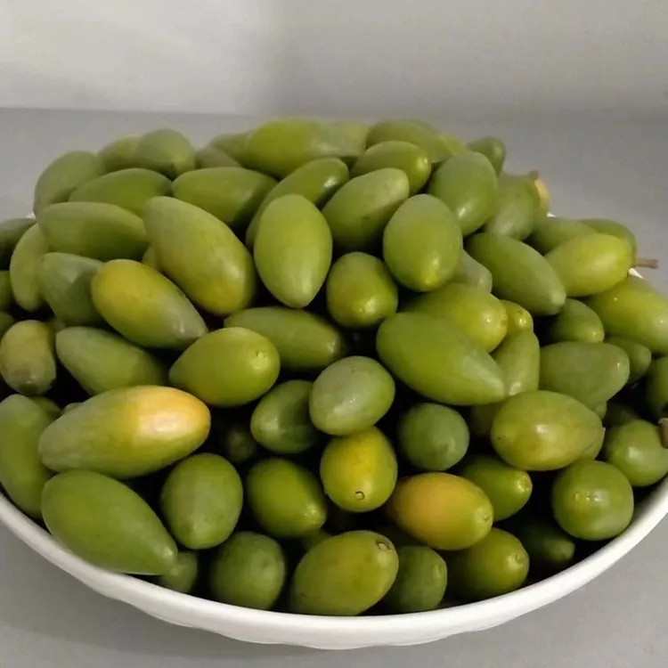 福建新鲜现摘原味嫩脆青橄榄回甘可生吃可煲汤