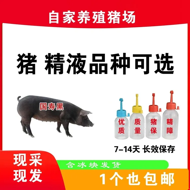 国寿黑种公精液瓶一件包邮包对版生态养殖批发输精管猪用耗材