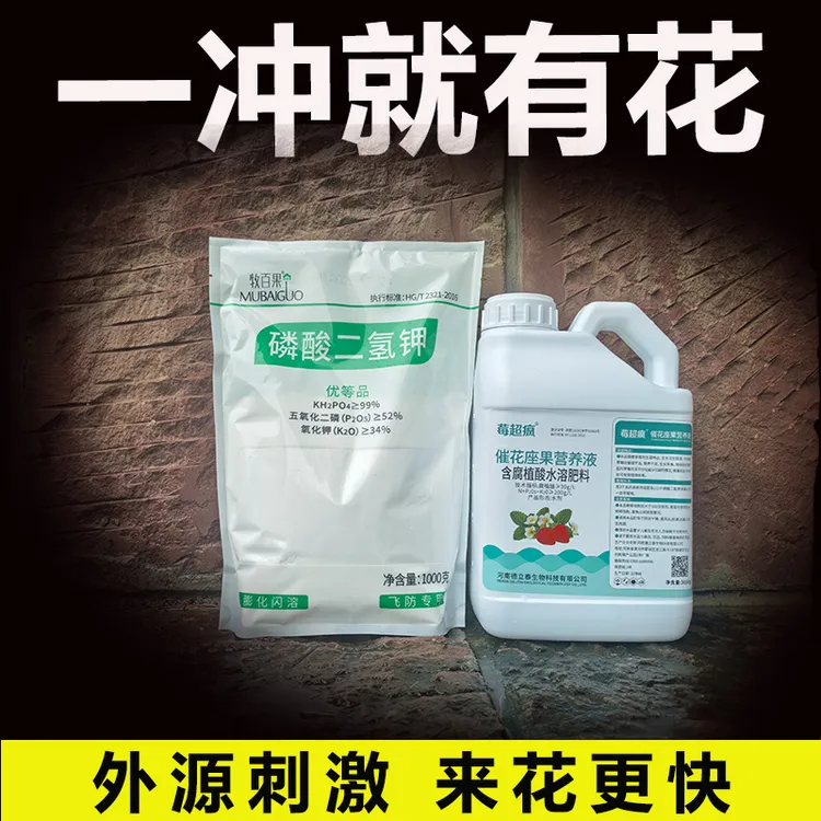 牧百果草莓催花座果专用滴灌一冲草莓公苗救星花芽分化不现蕾