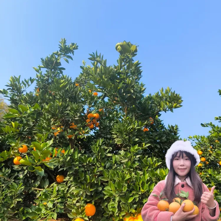 （婷姐姐爱分享专属）果园现摘现发脐橙新鲜多汁8斤净果装大果