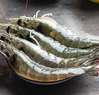 250g*3袋-顺/京冷链-盐冻基围虾【到26年1月3号】