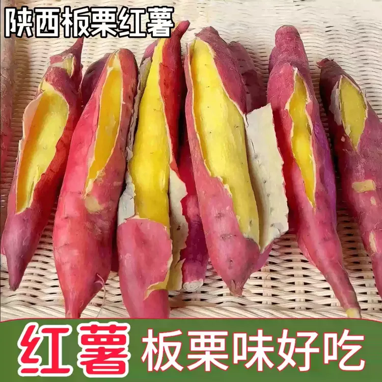 新鲜陕西板栗红薯蜜薯现挖新鲜地瓜番薯农家自种小香薯非桥头地瓜