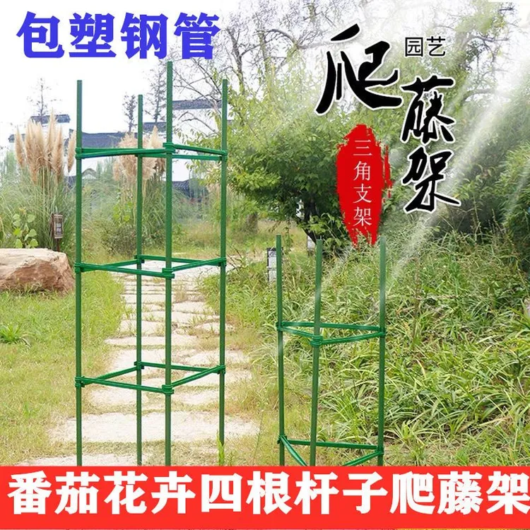 爬藤花架室外庭院蔬菜爬藤架番茄西红柿铁艺月季架支撑杆园艺专用