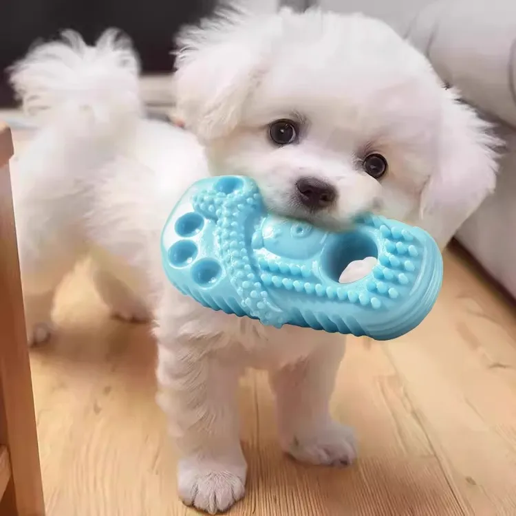 狗狗玩具拖鞋磨牙洁齿泰迪小型犬耐咬拉扯自嗨解闷神器宠物狗用品