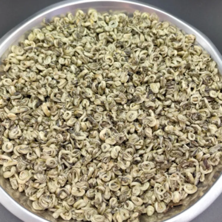 【2025年】新茶*茉莉玉螺王 浓香耐泡 回甘醇厚