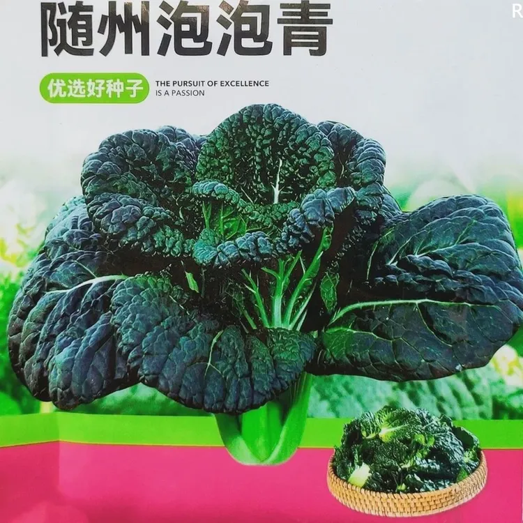 .耐寒越冬蔬菜随州泡泡青种子小油菜青菜乌塌菜种籽子黑油白菜黑