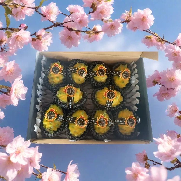 广东新鲜果麒麟果香甜多汁热带水果礼盒