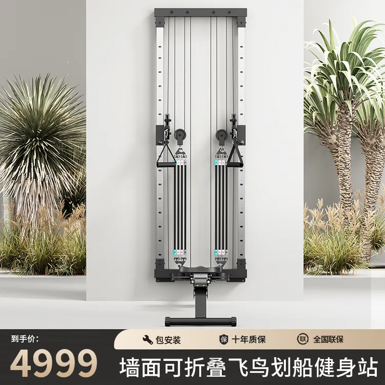【DD推荐】飞赛尔MF-05墙面飞鸟划船健身站双滑轮系统可变阻力室内