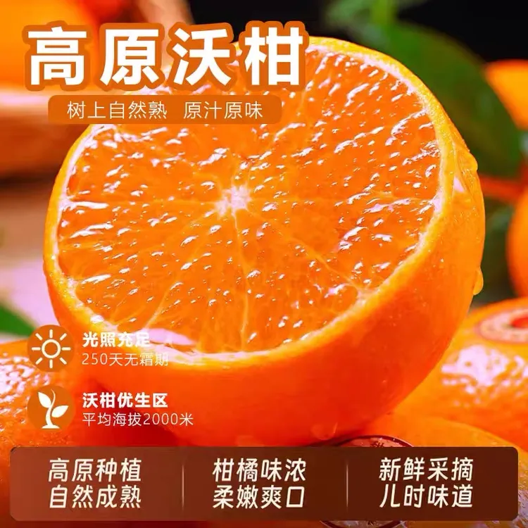 【新鲜现摘】当季沃柑新鲜薄皮桔橘子脆甜多汁孕妇水果整箱S5-1