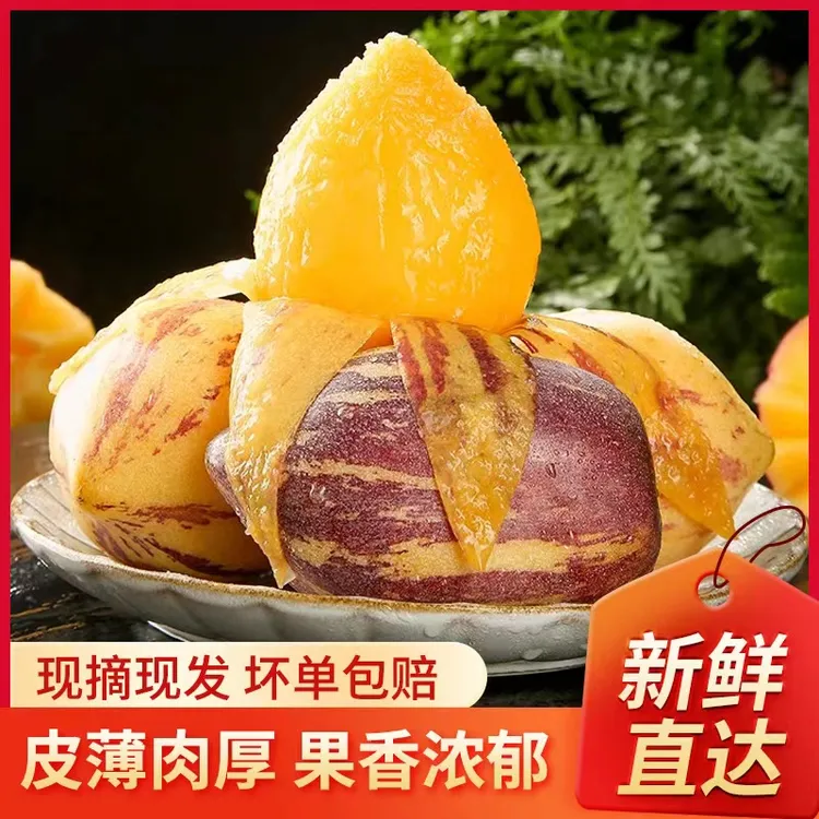 【精品】甘肃产地发民勤长沙漠人参果当季新鲜水果净重4.5斤