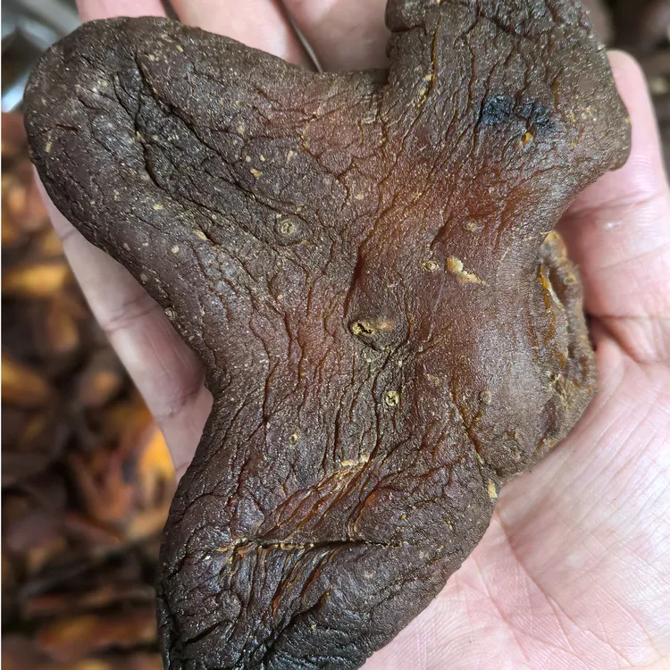 老虎姜  可即食  可泡水可煲汤