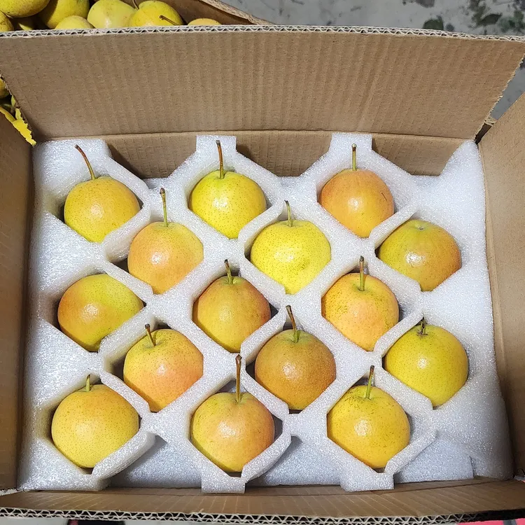 鞍山特产南果梨，大果盒装，放软吃汁水充足