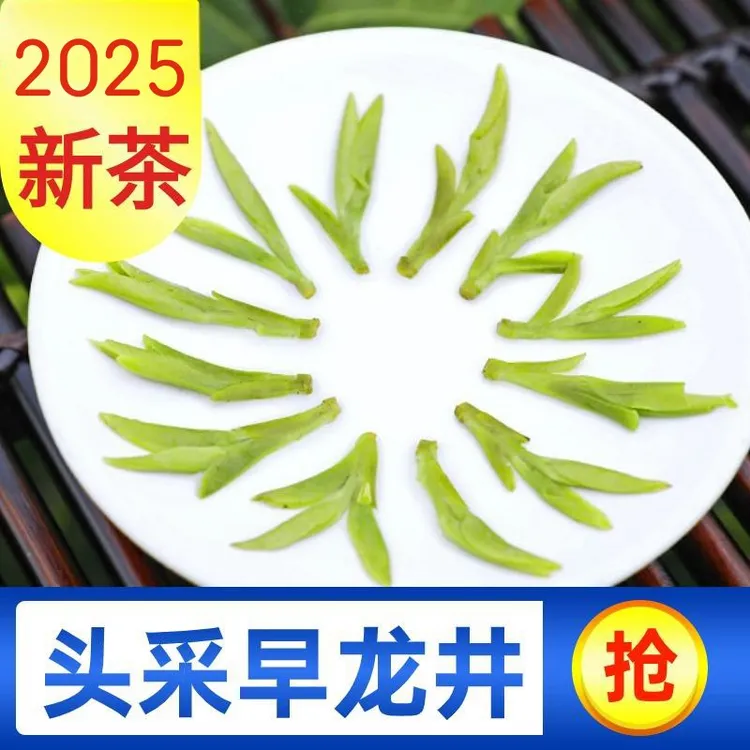 2025新茶明前头采嫩芽乌牛早浙江龙井茶礼盒装浓豆香茶叶