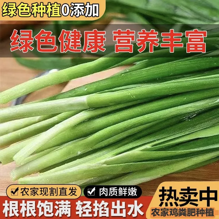 【0农残鸡粪肥种植】农家蔬菜韭菜现割现发鲜嫩烧烤韭菜盒子粤东区