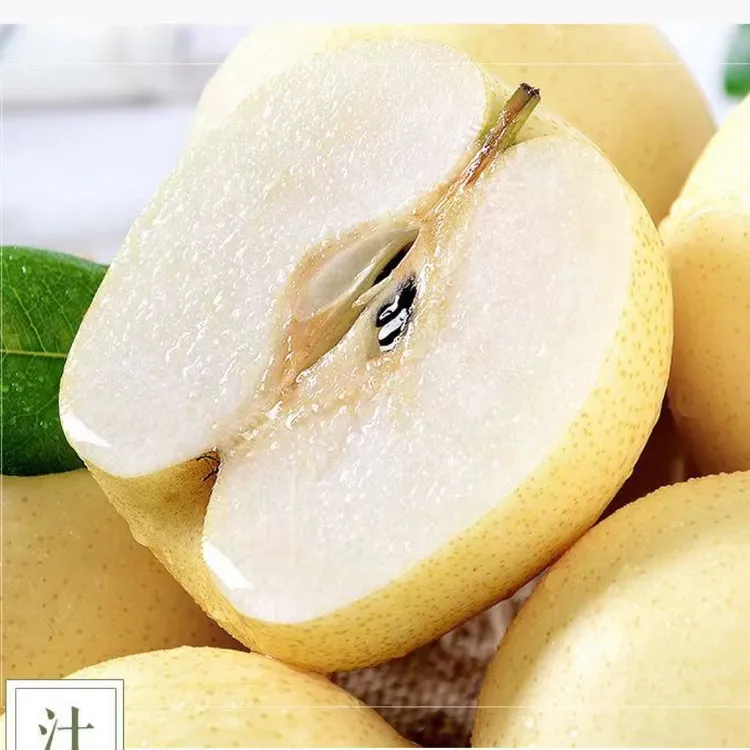 现摘现发正宗博望黄金梨新鲜当季水果汁多皮薄脆甜无渣
