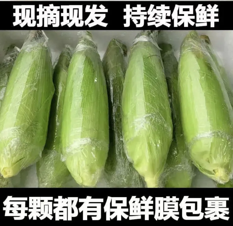 新鲜现摘水果玉米甜脆可口当季农家带壳玉米