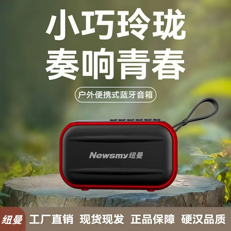 纽曼L82 2025新款蓝牙音箱便携式收音机录音机插卡插U盘小型音箱