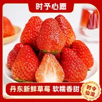 正宗丹东新鲜草莓现摘现发草莓整箱包邮