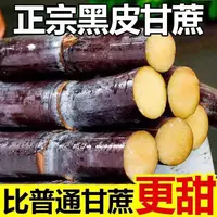 广西新鲜现砍黑皮甘蔗脆甜多汁应季水果孕妇零食