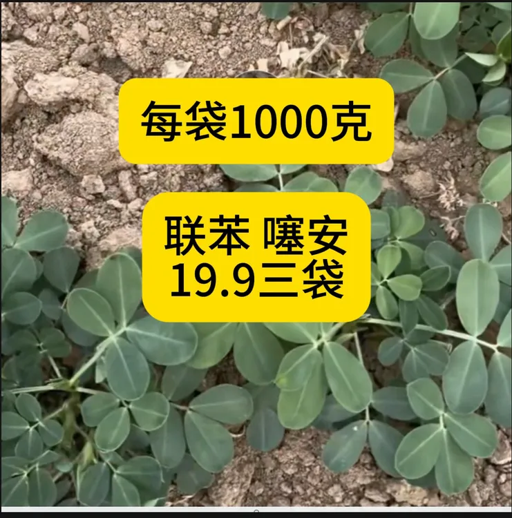 各种农作物撒撒撒地下用的、生根壮苗营养增产包衣水溶肥