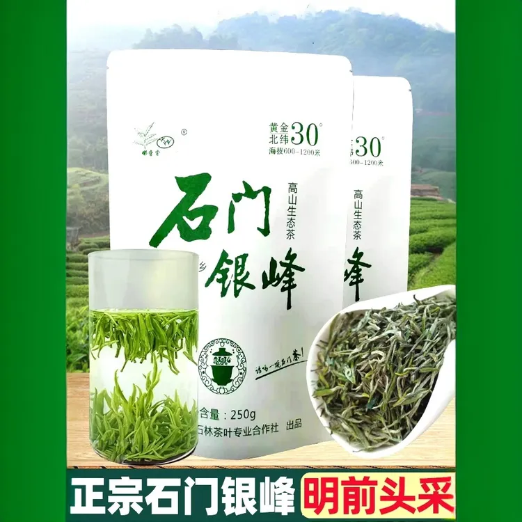 纯芽石门银峰高山新茶明前毛尖嫩芽炒正宗高山正宗高山雀舌绿茶