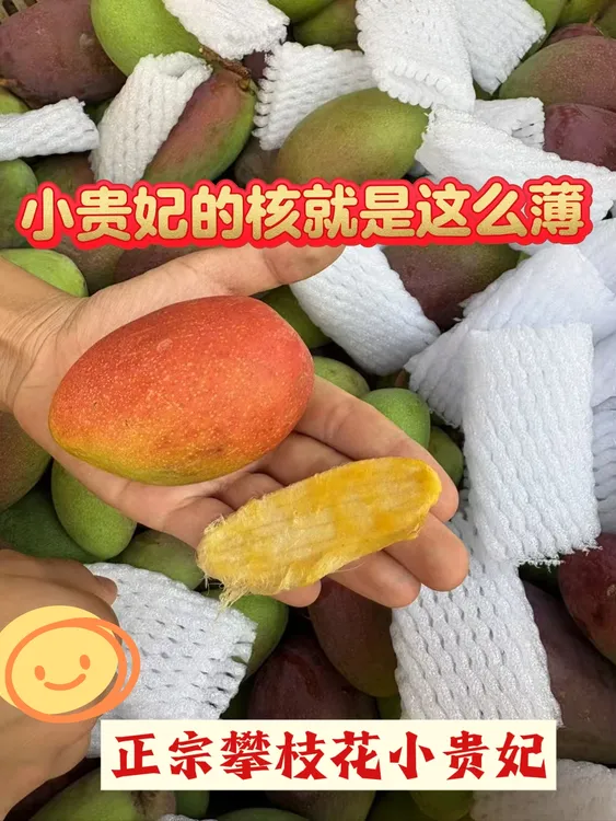 正宗小贵妃芒果新鲜当季水果核薄肉厚香甜多汁