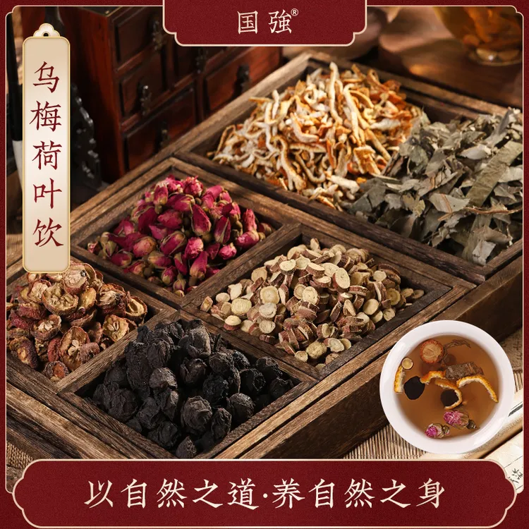 国强养生茶 苗苗茶 乌梅荷叶饮