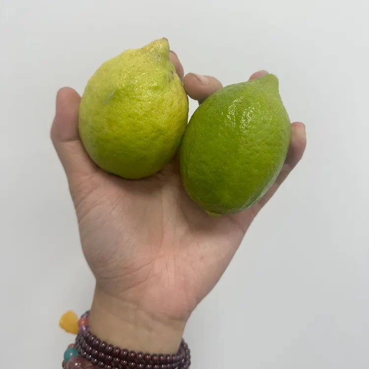 【广东香水柠檬靓果3斤】果园现摘直发奶茶店适用新鲜多汁果香浓郁