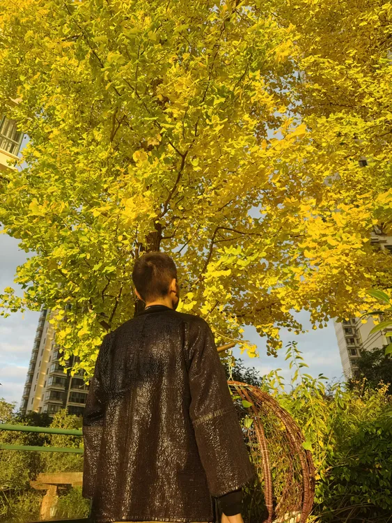 中长款免烫印花豆染百年老布料纯手工常规款