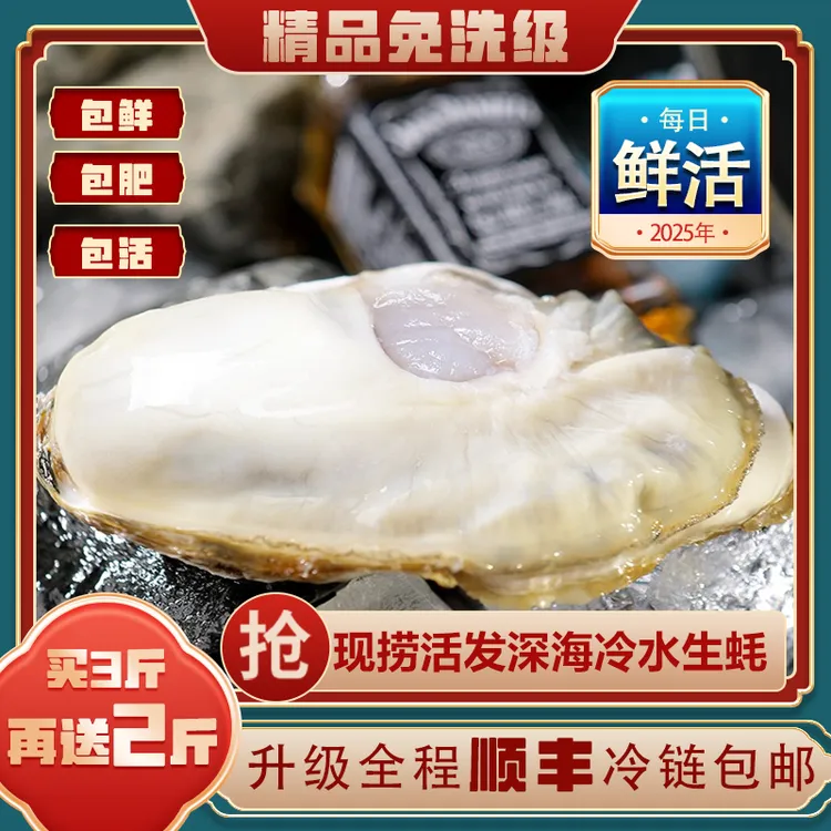 【鲜活海鲜】买3斤送2斤鲜活大生蚝精品免洗级大牡蛎源产地包肥包活