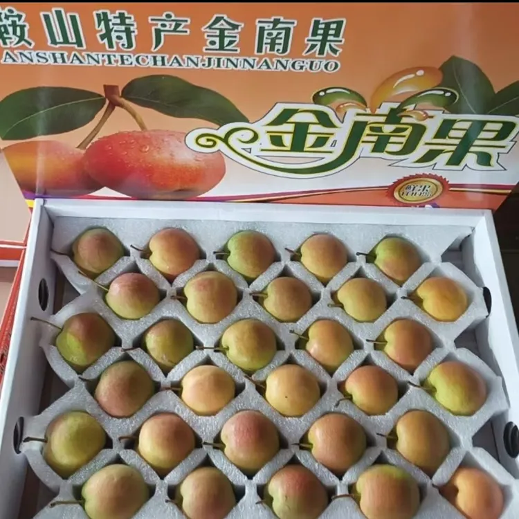 东北鞍山南果梨新鲜应季水果香水软梨子南国梨礼盒装包邮
