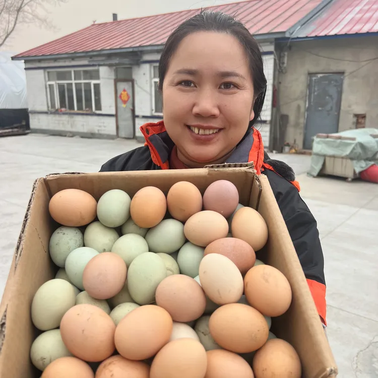 农村土鸡蛋笨鸡蛋30枚
