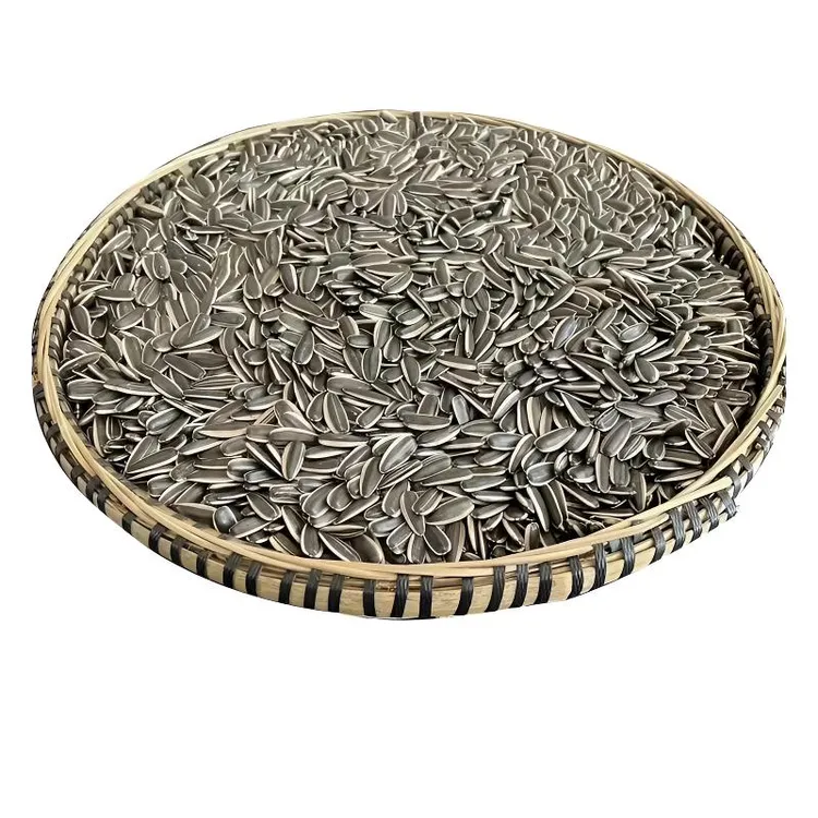 2025年新鲜生瓜子内蒙古葵花籽新货原味大颗粒向日葵瓜子