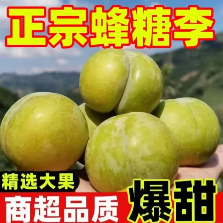 正宗蜂糖李 商超品质 精选大果 3斤/5斤
