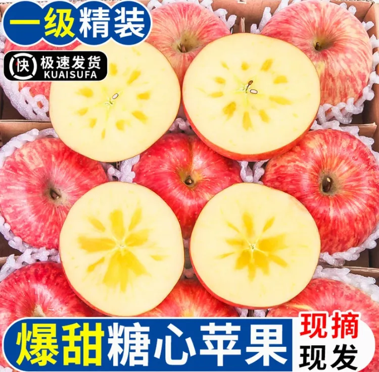 云南昭通现摘红富士脆甜薄皮多汁爽口新鲜水果云南昭通糖心丑苹果