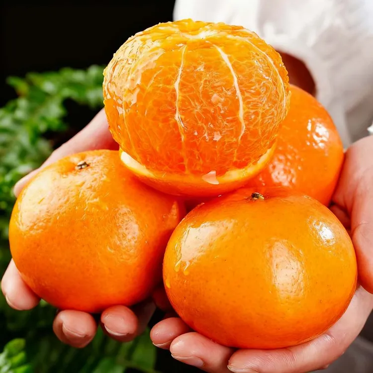 【9斤】云南沃柑特大果当季新鲜水果云南当季孕妇水果老人吃的水果