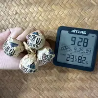 2014年困鹿山藏龙渊母祖单株普洱生茶龙珠M180号9月25日