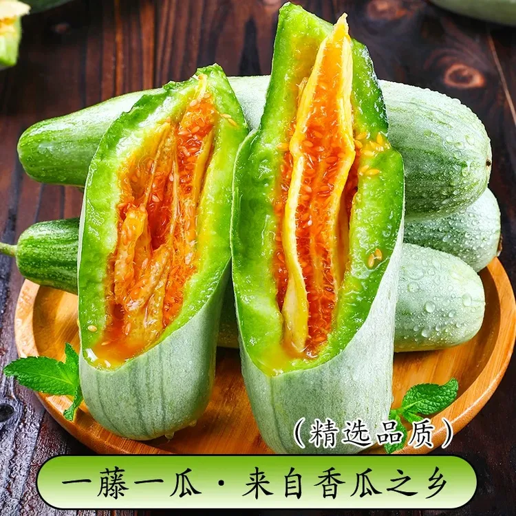 羊角蜜【新鲜现摘】山东头茬甜瓜当季新鲜应季水果脆甜蜜瓜3-4.5斤
